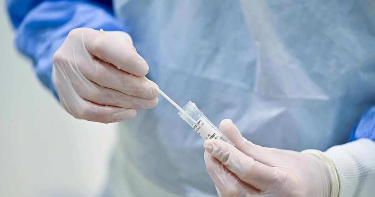 A healthcare worker is holding a test swab. The healthcare worker is wearing personal protective equipment (PPE), including white gloves and a white and blue gown.